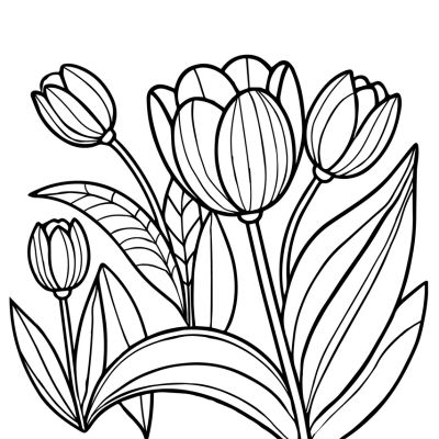 Tulpen