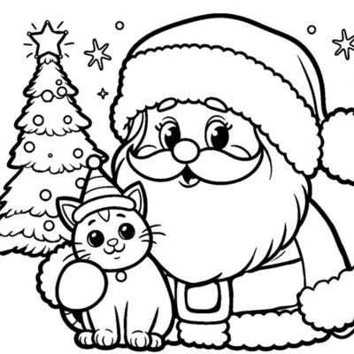 Weihnachtsmann und die Katze